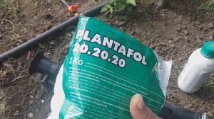 Баковая смесь (Плантафол 20. 20. 20 + Би 58)