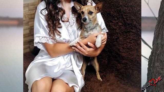 A little puppy called his mother, he was scared, but his mother was nowhere ... смотреть онлайн