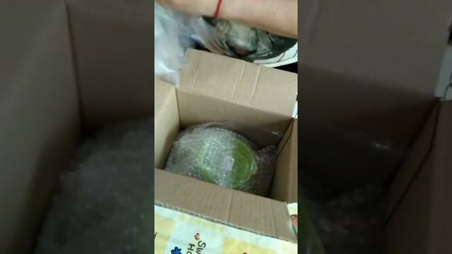Набор для пюрирования смотреть онлайн