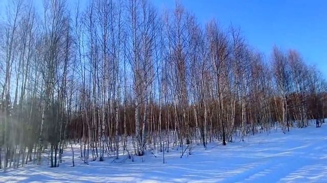 VLOG ВАЖНОЕ ОБЪЯВЛЕНИЕ Что дальше? смотреть онлайн