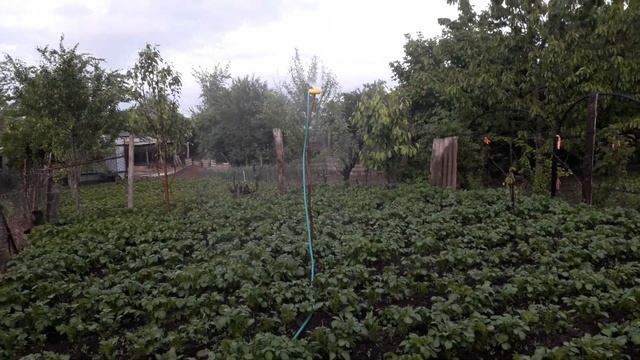 Ох уж и погода! Подсаживаем рассаду. смотреть онлайн