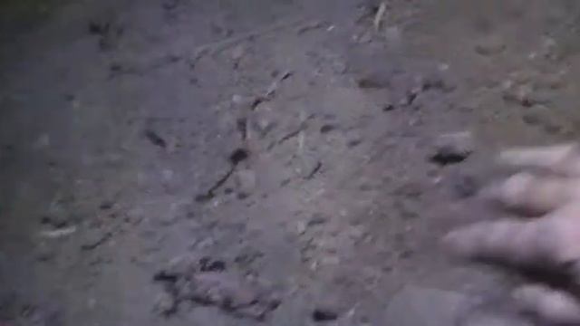 Очередное тестирование металлоискателя Пират МТХ на поиск свинца и нержавейки смотреть онлайн