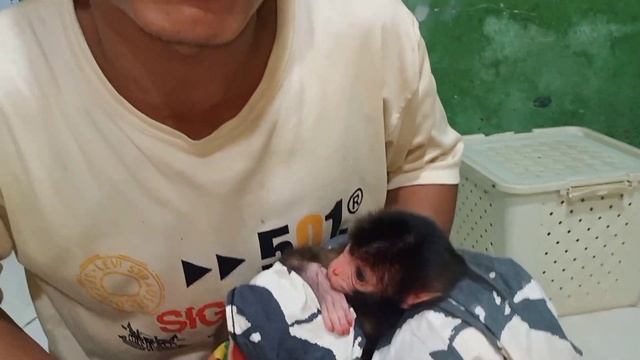 feel sorry for the newborn baby monkey, take care of the newborn baby monkey смотреть онлайн