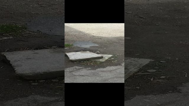 20230515_Саратов. Старинный дом и двор смотреть онлайн