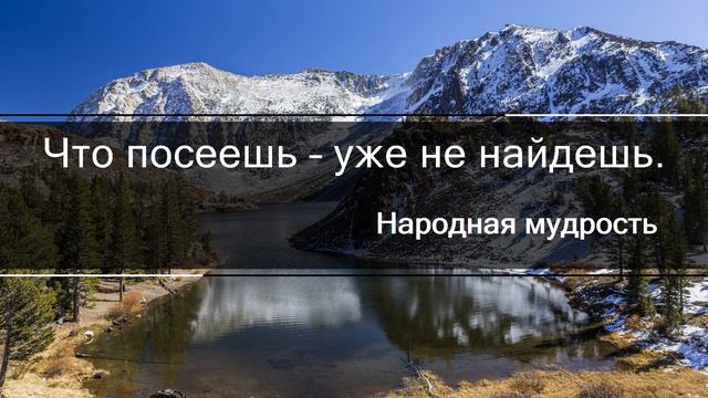 😍30.08.2022. Смешные цитаты, афоризмы и высказывания😍 смотреть онлайн
