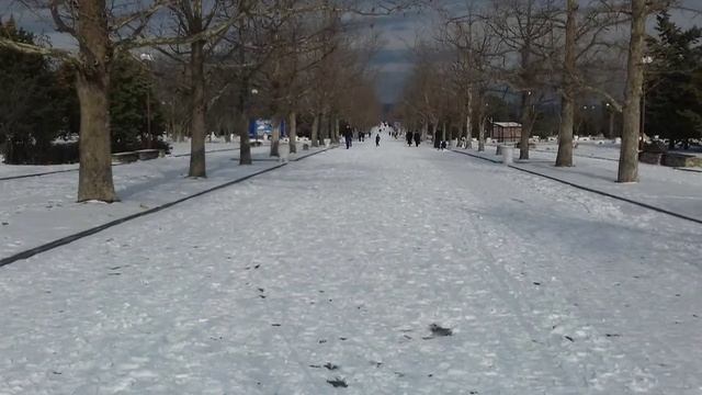 Живопись севастопольской зимы 2016 г.Людмила Миронова Севастополь. смотреть онлайн