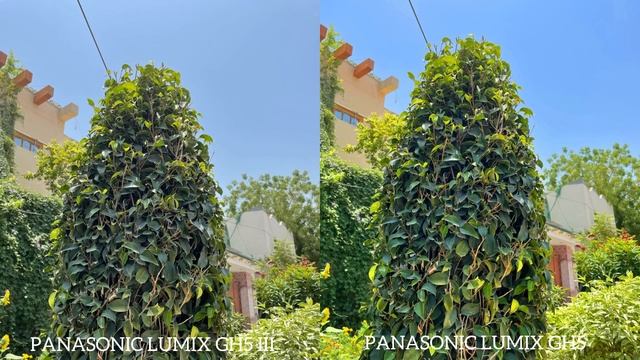 Panasonic Lumix GH5 II vs Panasonic Lumix GH5 Camera Test смотреть онлайн
