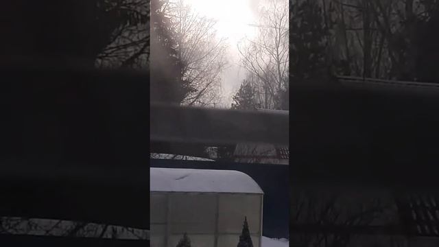 Вкусовая Симфония