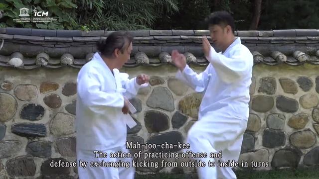 Taekkyeon tutorial(Applied Practice) смотреть онлайн