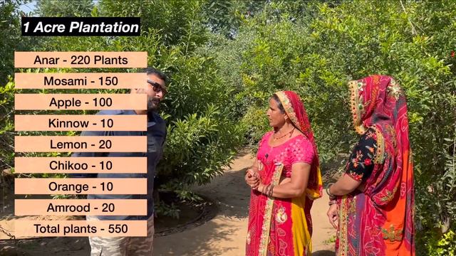साधारण सी दिखने वाली ये महिला एक एकड़ से कमाती हैं 30 लाख | Pomegranate Farming anar ki kheti смотреть онлайн
