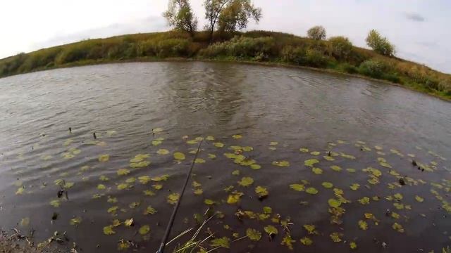 Ловим рыбу и жарим на костре. смотреть онлайн