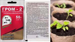 ВСЕГО 2 ГРАММА ЭТОГО ПРЕПАРАТА и МОШКИ в РАССАДЕ и КОМНАТНЫХ ЦВЕТАХ ИСЧЕЗНУТ! Средство от мошек