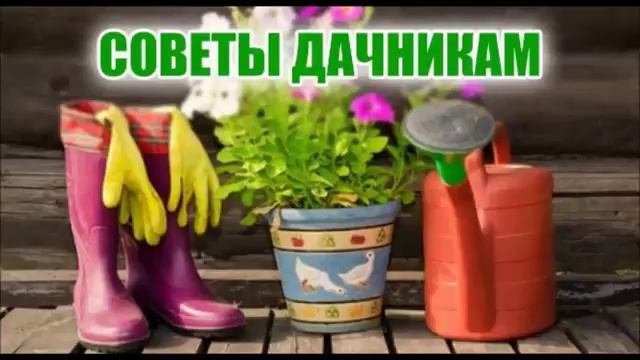 ДАЧА-САД ПОДКОРМКА РАСТЕНИЙ смотреть онлайн
