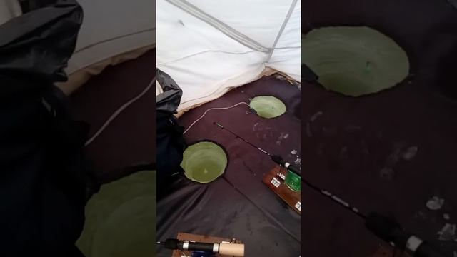 Моя зимняя рыбалка 2018 г(1) смотреть онлайн