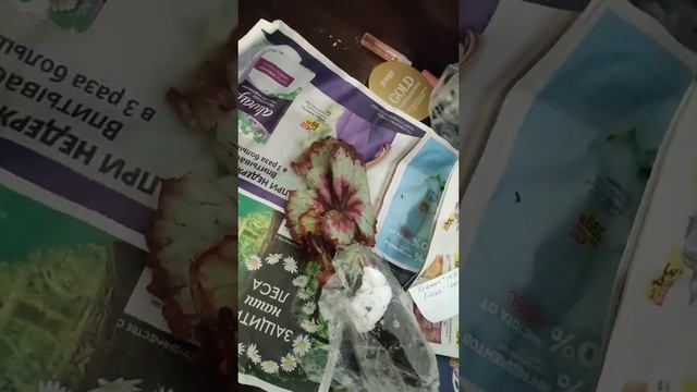 Мои новинки. Скучать некогда! смотреть онлайн