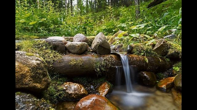 Алег Елісеенкаў (выконвае сам аўтар) - Крынічанька смотреть онлайн