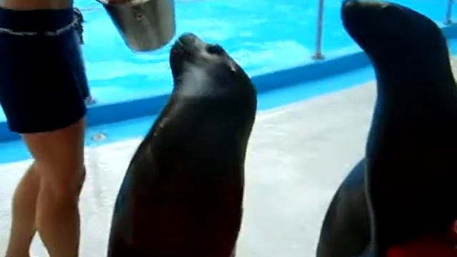 Лучший хостинг для вашего сайта смотреть онлайн
