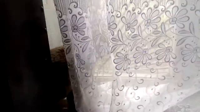 Рысь на окошке смотреть онлайн