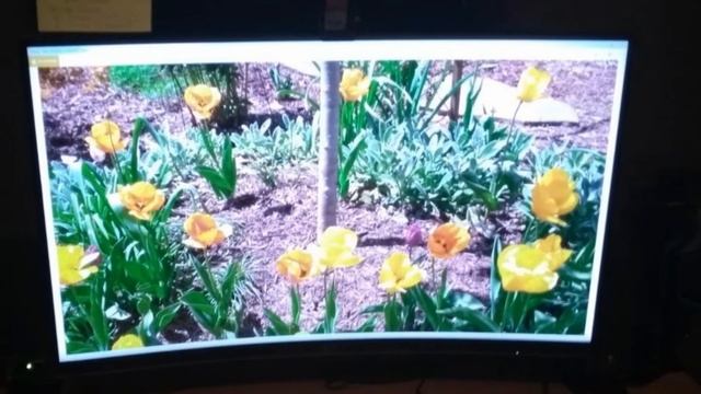 Gaming Monitor : Can I Try Once from here? смотреть онлайн