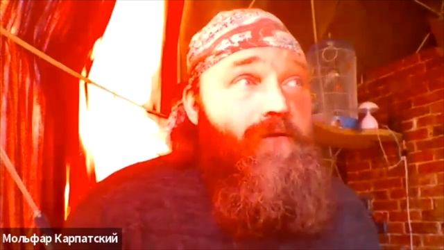 Что будет? стрим с Жаном Новосельцевым. переезд на землю. История создания био поселения. часть 1 смотреть онлайн