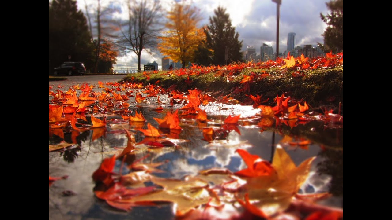 Осенний сборник красивой музыки! Autumn collection of beautiful music! смотреть онлайн