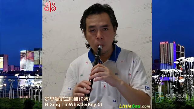 LittleSax & Tin Whistle - (HiXing Irish Whistle) vs (Mini Sax/Xaphoon/Pocket Saxophone/Pocket Sax) смотреть онлайн