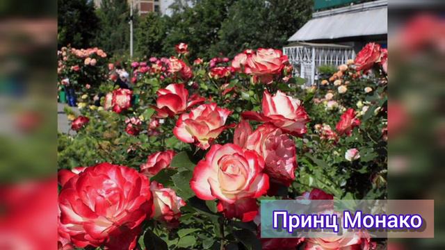 Пустыня - мир приключений и тайнов, истории и легенд.