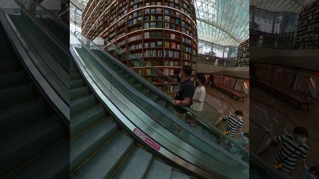Starfield Library - COEX Mall (Seoul, Korea)