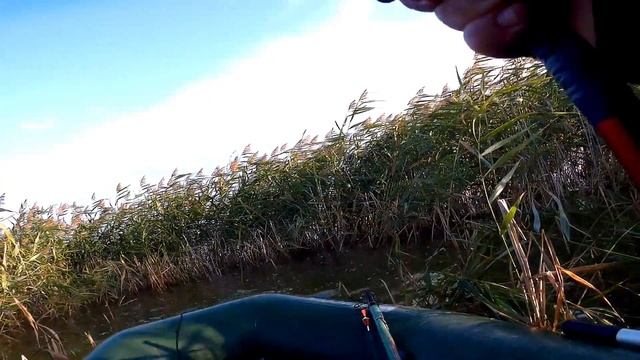 Сколько же там карася!!! Сумашедший клев. Рыбалка на боковой кивок. смотреть онлайн