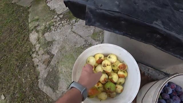ЖИВУ МЕСЯЦ НА 1000 РУБ (368ГРН) 28 29 ДЕНЬ смотреть онлайн