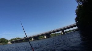 Тасманский дьявол / Купили, оснастили и сразу ловим ГОРБУШУ на р.Авача