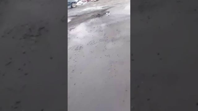 ВСУ обстреляли из РСЗО «Град» Соболевку в Белгородской области, сообщил губернатор Гладков. NE.САХА смотреть онлайн
