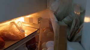 Дверь морозильной камеры не закрывается.