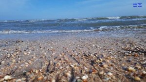 7 удивительных фактов об Азовском море!