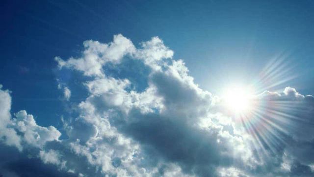 Niamh Kavanagh : It's For You смотреть онлайн