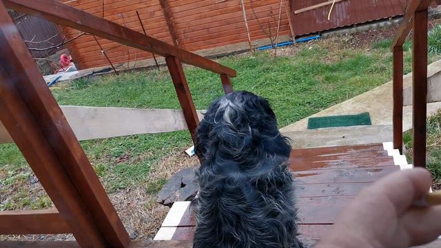 Сочи. Горное Лоо. Дожди. +10°C. 20. 02.2024г.© смотреть онлайн