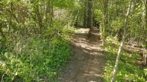 НОРМАЛЬНЫЙ ОБЗОР Format 1311 Plus (2017) — велосипед на широких покрышках