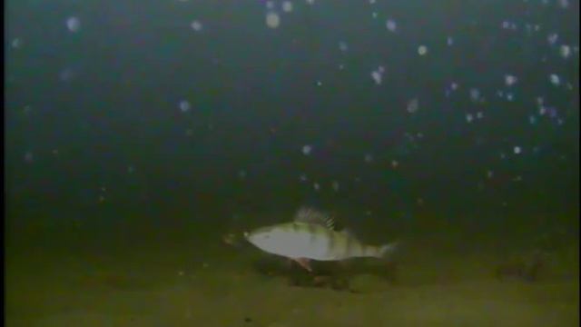 Iso-Roine Finland Marcum LX9 смотреть онлайн