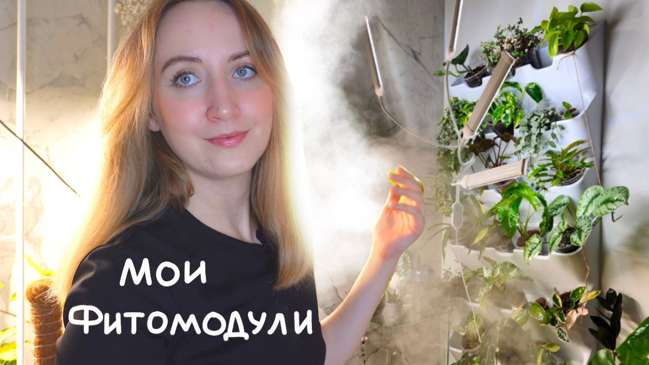 Мои ФИТОМОДУЛИ I Обзор растений смотреть онлайн