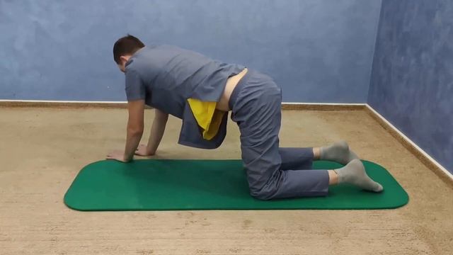 17 упражнение Стоя на четвереньках, растягиваем мышцы спины смотреть онлайн