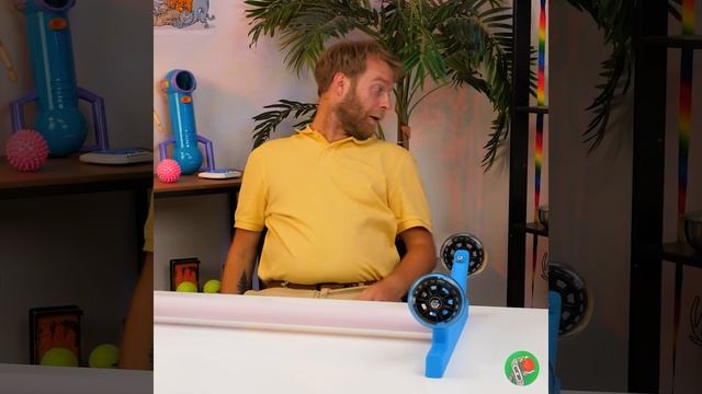 Ejercicio para gatos || Rueda de entrenamiento DIY смотреть онлайн