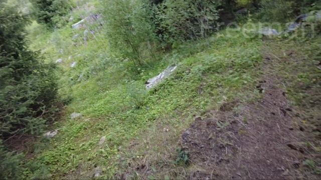 пик Терешковой Алматы видео 2023 | как дойти? | пеший маршрут через Большое Алматинское ущелье смотреть онлайн