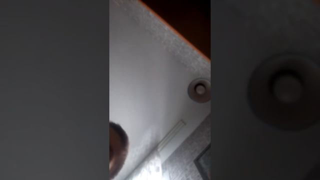 Обзор выжигателя по дереву и по коже смотреть онлайн