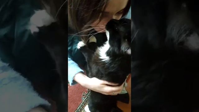 Самый ласковый кот! смотреть онлайн