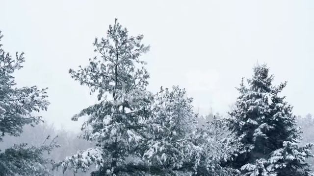 Ivan Sobolev  Nocturne 7