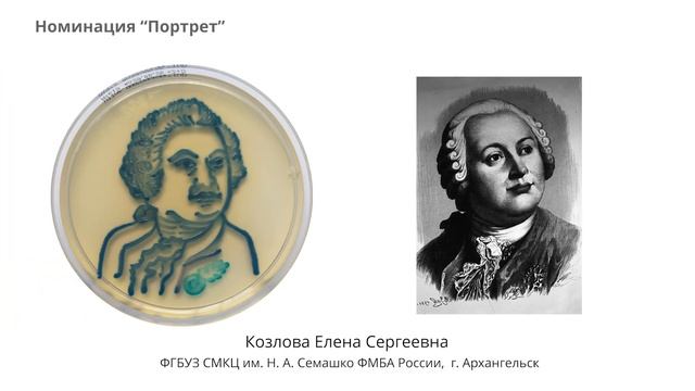 Красота микромира - 2020. Номинация "Портрет" смотреть онлайн