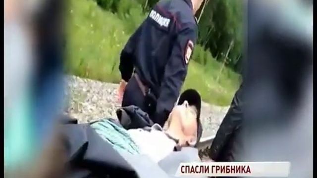 В Даниловском районе полицейские вынесли из леса потерявшегося пенсионера смотреть онлайн