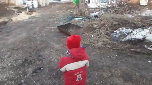 завожу стройматериал для свинарника//открываю сезон смотреть онлайн