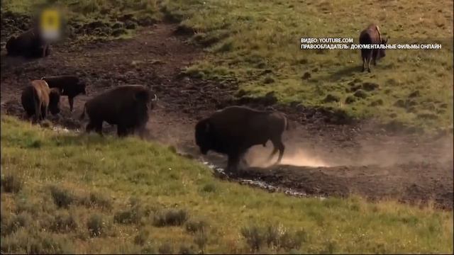 «Миллион друзей» 08.04.22 смотреть онлайн