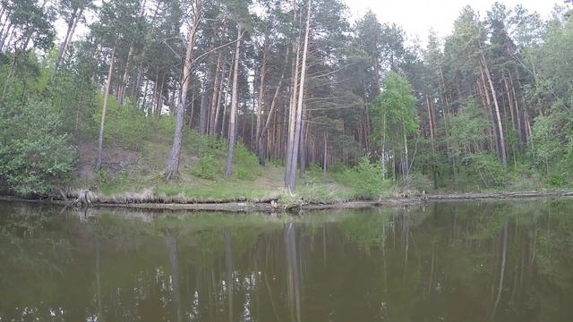 В поисках рыбы / Сухоложский район смотреть онлайн